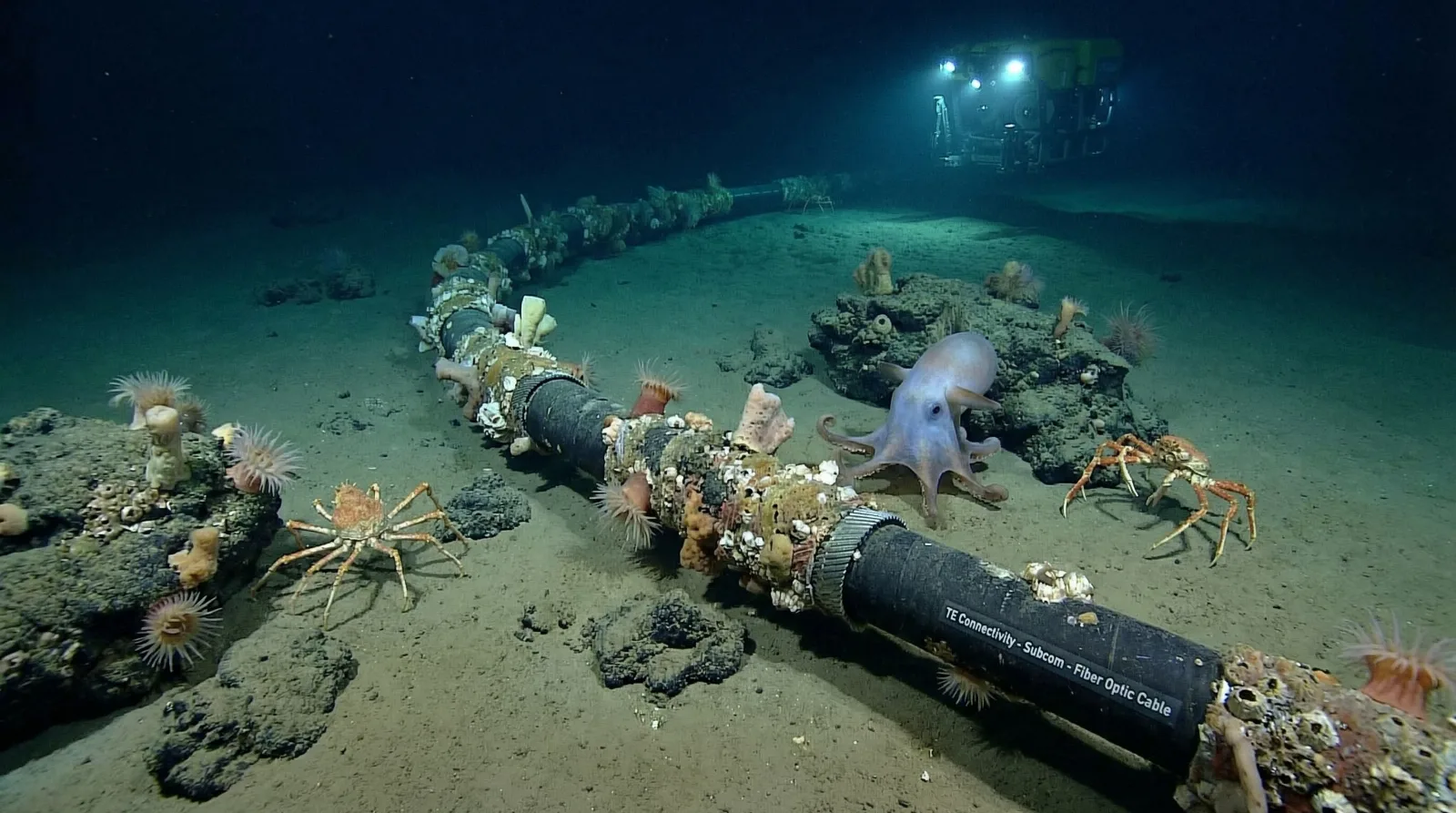 Barco de reparación de cables submarinos con robots ROV en el mar Caribe frente a Venezuela